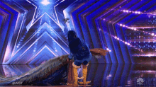 Peacock Americas Got Talent GIF - Peacock Americas Got Talent Giant Feathers GIFs