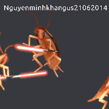 a picture of a cockroach with the date 2014 on the bottom