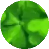 a close up of a green circle on a white background