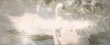Swan Aesthetic GIF - Swan Aesthetic Painting GIFs