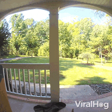 Anybody Home Viralhog GIF - Anybody Home Viralhog Is Anyone In There GIFs