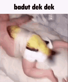 Badut Adek Badut GIF - Badut Adek Badut Badut Dek Dek GIFs