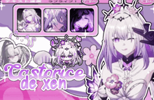 a picture of a girl with the name castorice de xen