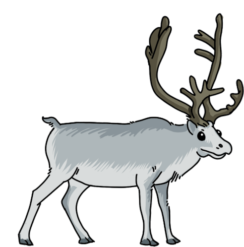 caribou cartoon