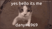 Dany69 GIF - Dany69 GIFs