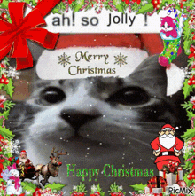 Ah Jolly GIF - Ah Jolly Cat GIFs