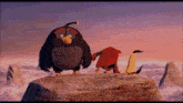Angry Birds Cliff GIF - Angry Birds Cliff Death GIFs