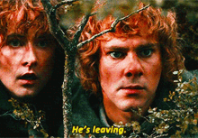 lord of the rings leaving going away