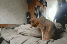 Cat Indifferent GIF - Cat Indifferent Dont Care GIFs