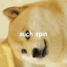Doge Such Spin GIF - Doge Such Spin Spin GIFs
