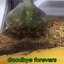 a picture of a frog with the words goodbye forevers on the bottom