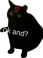 a black cat with the words ok and written on its back