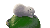 a cartoon character is sitting on top of a green object with the words " not again not again " below it