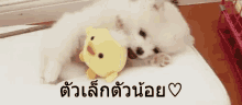 a white dog is laying next to a yellow stuffed duck .