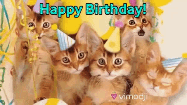 cute happy birthday cats