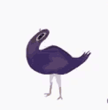 Totoo Bird GIF