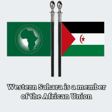Western Sahara African Union GIF