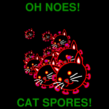 Catspores GIF - Catspores GIFs
