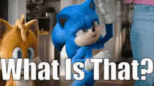 Knuckles Tv Show Sonic GIF - Knuckles Tv Show Sonic What Is That GIFs