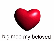 Big Moo Big Moo My Beloved GIF - Big Moo Big Moo My Beloved GIFs