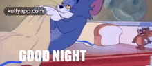 Good Night.Gif GIF - Good Night Gud Nit Tom And Jerry GIFs