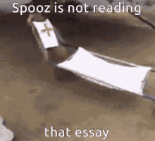 spooz essay