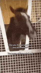 a horse is standing in a cage with the words " are you the horse of truth and affirmation "
