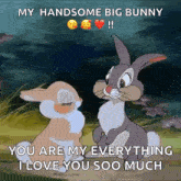 Thumper My Everything GIF - Thumper My Everything I Love You So Much GIFs