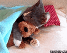 a cat is holding a teddy bear under a blanket on a bed