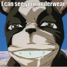 a cartoon dog is smiling and saying i can see your underwear