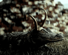 Loki Alligator GIF - Loki Alligator Growl GIFs