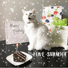 Happy Birthday Happy Birthday From Smudge Cat GIF - Happy Birthday Happy Birthday From Smudge Cat Smudge Cat GIFs