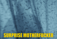 a blue background with the words surprise motherfucker in yellow letters
