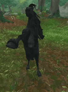 a black horse is standing on its hind legs in a field .