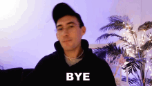 Bye Brandon Woelfel GIF - Bye Brandon Woelfel Good Bye GIFs