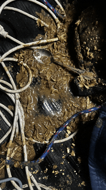 a bunch of wires are covered in mud and a spoon is in the middle