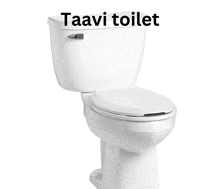 Taavi Toilet GIF