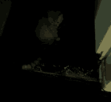 a close up of a cat 's paw in the dark .