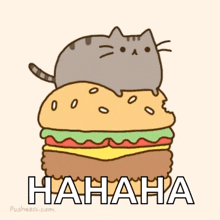 Cats Burger GIF - Cats Burger Hungry GIFs