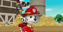 Puppy Paw Patrol GIF - Puppy Paw Patrol Weter GIFs