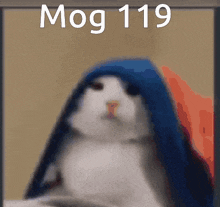 Mog Mog 119 GIF - Mog Mog 119 119 GIFs