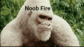a white gorilla with the word noob fire written on it