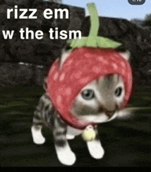 a cat wearing a strawberry hat is walking in the grass