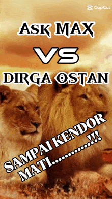 a poster with three lions and the words ask max vs dirga ostan