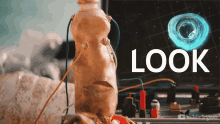 Look Signals GIF - Look Signals Youtube GIFs