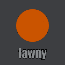 Tawny Tawny Cinema GIF - Tawny Tawny Cinema Cinema GIFs
