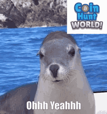 Coin Hunt World Seal GIF