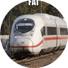 fat train