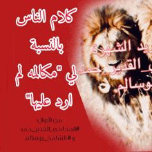 a picture of a lion with arabic writing behind it