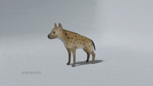 Hyena Burst Anvil Has Fallen GIF